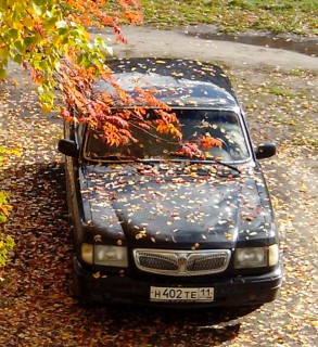 IMG_20130925_122251-1.jpg