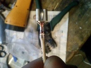 CAM015811.jpg