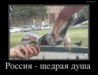 3688982_85933cd0.jpg
