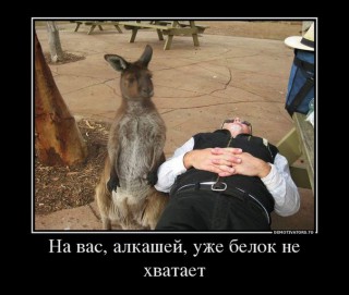 2376895_e3d480df.jpg