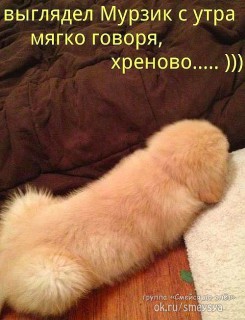 image (1).jpg