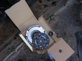 P2260011 (Large).JPG