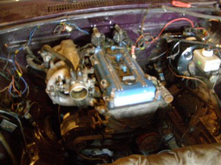 P3020013 (Large).JPG