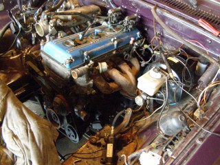 P3020016 (Large).JPG