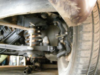 P3020017 (Large).JPG
