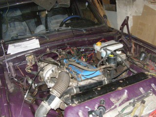 P3060029 (Large).JPG