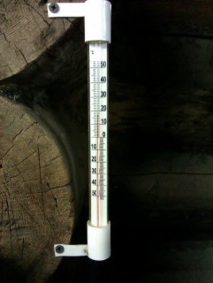 IMAG0159.jpg