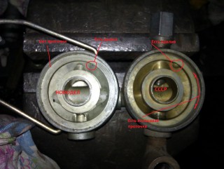 IMAG0179.jpg