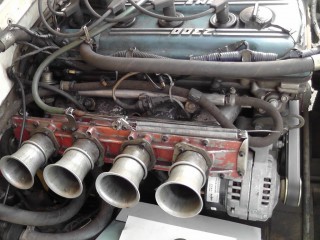 S2000006_resize.JPG