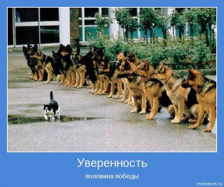 motivator-3562.jpg